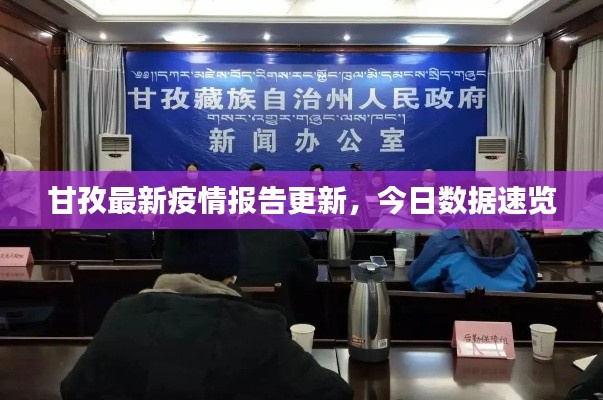 甘孜最新疫情報(bào)告更新，今日數(shù)據(jù)速覽