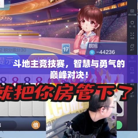斗地主競(jìng)技賽，智慧與勇氣的巔峰對(duì)決！