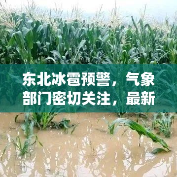 東北冰雹預(yù)警，氣象部門(mén)密切關(guān)注，最新預(yù)測(cè)提醒防范災(zāi)害