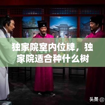 獨家院室內(nèi)位牌，獨家院適合種什么樹 