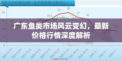 廣東魚類市場風(fēng)云變幻，最新價(jià)格行情深度解析