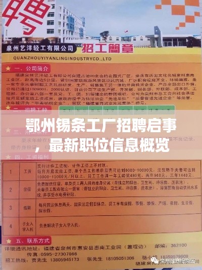 鄂州錫條工廠招聘啟事，最新職位信息概覽