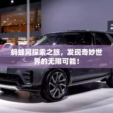螞蜂窩探索之旅，發(fā)現(xiàn)奇妙世界的無(wú)限可能！