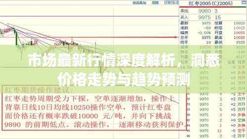 市場最新行情深度解析，洞悉價格走勢與趨勢預(yù)測