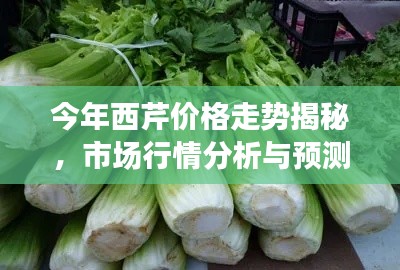 今年西芹價格走勢揭秘，市場行情分析與預測