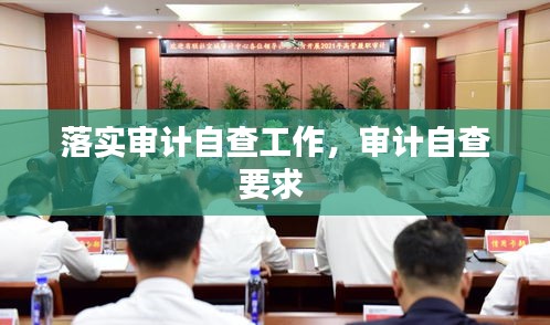 落實審計自查工作，審計自查要求 