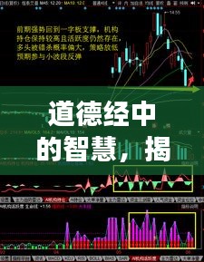 道德經(jīng)中的智慧，揭示股票投資的深層洞察