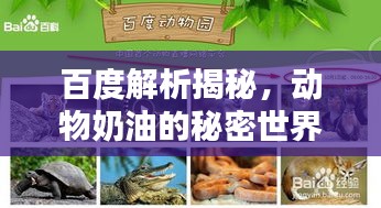 百度解析揭秘，動物奶油的秘密世界！