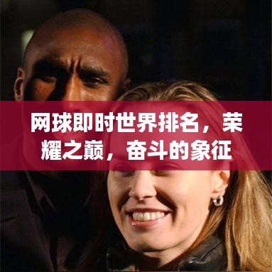 網(wǎng)球即時(shí)世界排名，榮耀之巔，奮斗的象征