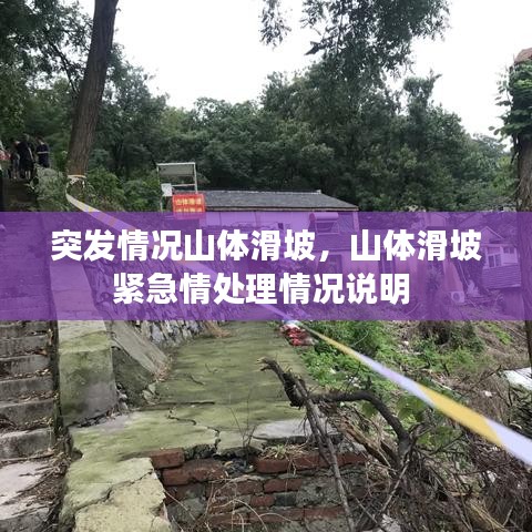 公司概況 第15頁