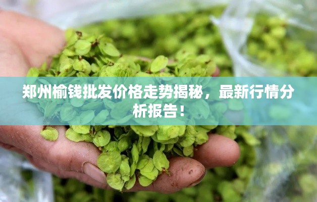 鄭州榆錢批發(fā)價格走勢揭秘，最新行情分析報告！