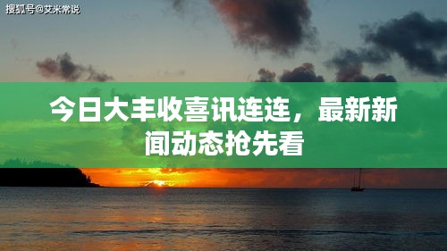 今日大豐收喜訊連連，最新新聞動態(tài)搶先看