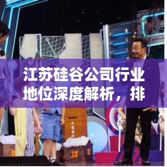 江蘇硅谷公司行業(yè)地位深度解析，排名前瞻