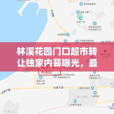 林溪花園門口超市轉(zhuǎn)讓獨(dú)家內(nèi)幕曝光，最新消息揭秘重磅交易！