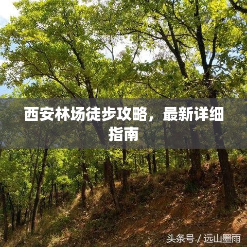 員工入口 第11頁