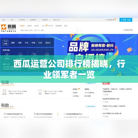 西瓜運營公司排行榜揭曉，行業(yè)領軍者一覽