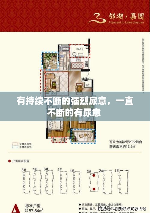 有持續(xù)不斷的強(qiáng)烈尿意，一直不斷的有尿意 