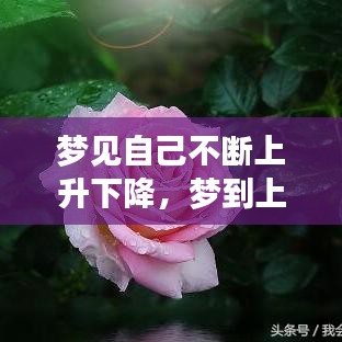 夢見自己不斷上升下降，夢到上升然后極速下落 