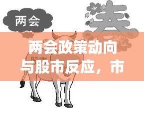 兩會政策動向與股市反應(yīng)，市場走勢揭秘，投資機(jī)會前瞻