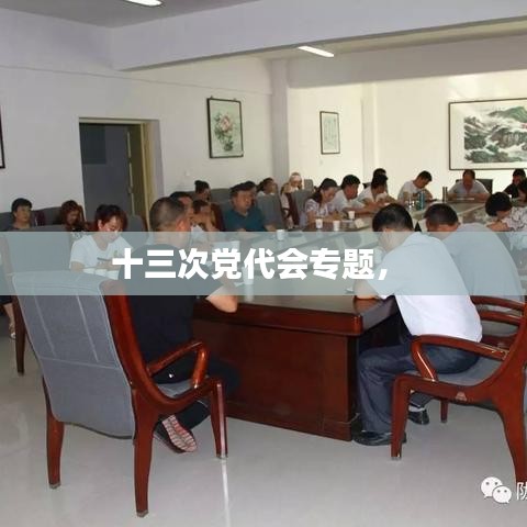 十三次黨代會專題， 