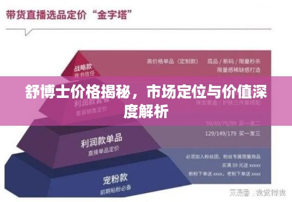 舒博士價格揭秘，市場定位與價值深度解析