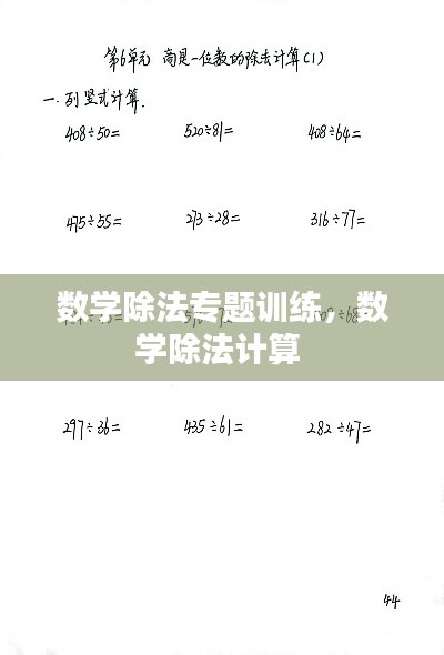 數(shù)學(xué)除法專題訓(xùn)練，數(shù)學(xué)除法計算 