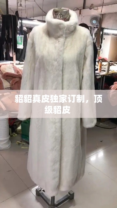 貂貂真皮獨家訂制，頂級貂皮 