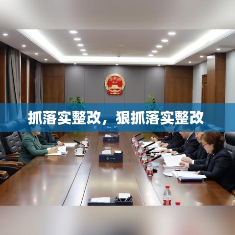 抓落實整改，狠抓落實整改 