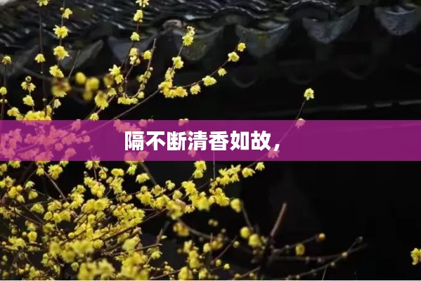 隔不斷清香如故， 