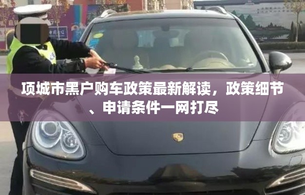 項城市黑戶購車政策最新解讀，政策細節(jié)、申請條件一網(wǎng)打盡
