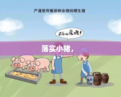 落實(shí)小豬， 