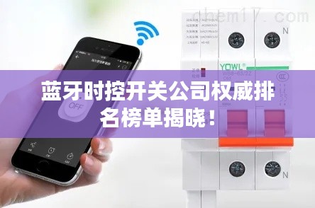 藍(lán)牙時控開關(guān)公司權(quán)威排名榜單揭曉！