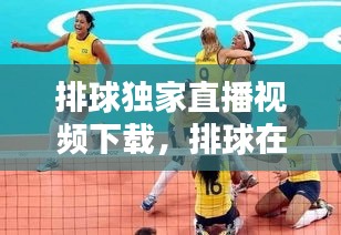 排球獨(dú)家直播視頻下載，排球在線直播免插件 