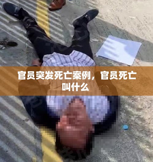 官員突發(fā)死亡案例，官員死亡叫什么 