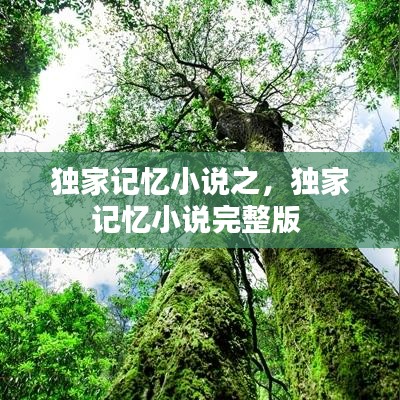 獨(dú)家記憶小說之，獨(dú)家記憶小說完整版 