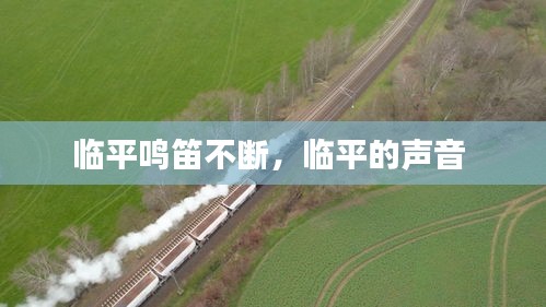 臨平鳴笛不斷，臨平的聲音 