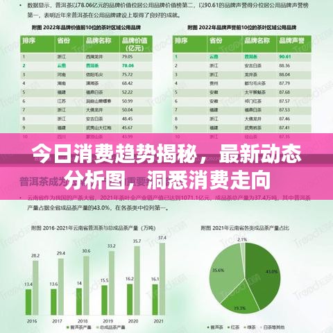今日消費趨勢揭秘，最新動態(tài)分析圖，洞悉消費走向