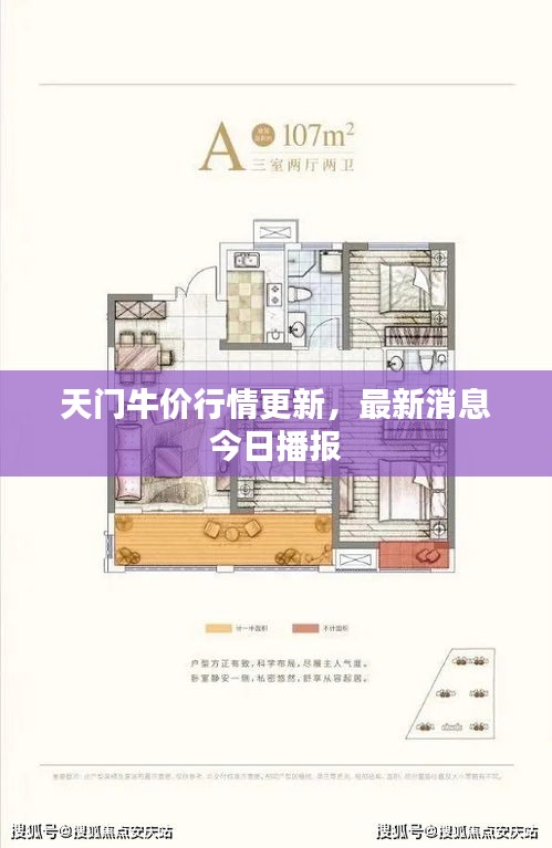 天門牛價(jià)行情更新，最新消息今日播報(bào)