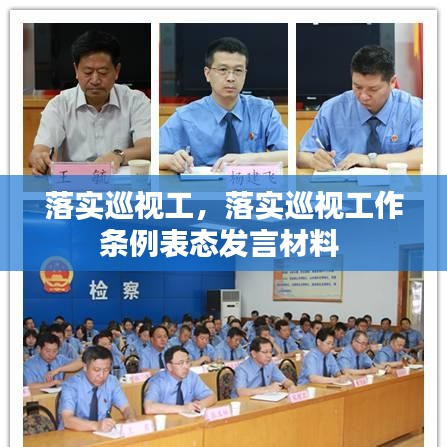 落實(shí)巡視工，落實(shí)巡視工作條例表態(tài)發(fā)言材料 