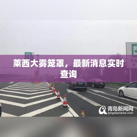 萊西大霧籠罩，最新消息實(shí)時(shí)查詢
