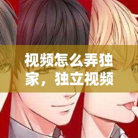 視頻怎么弄獨家，獨立視頻制作人 