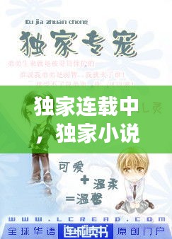 獨(dú)家連載中，獨(dú)家小說什么意思 