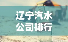 遼寧汽水公司排行榜揭曉，誰(shuí)領(lǐng)風(fēng)騷？