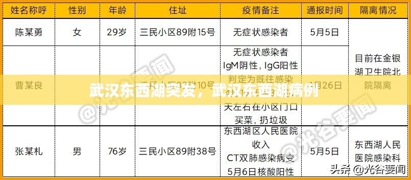 武漢東西湖突發(fā)，武漢東西湖病例 