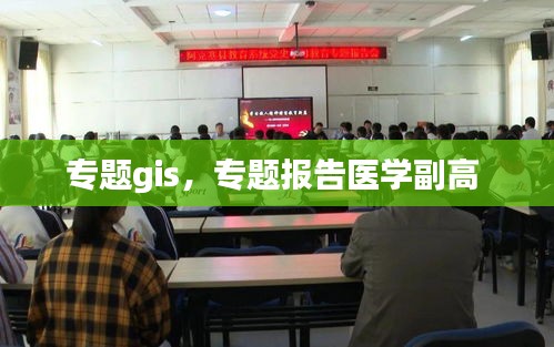 專(zhuān)題gis，專(zhuān)題報(bào)告醫(yī)學(xué)副高 