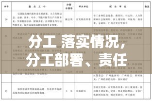 分工 落實情況，分工部署、責任落實 