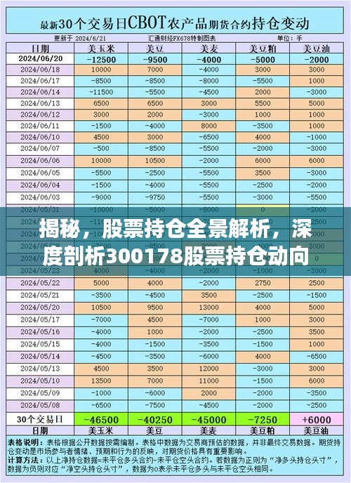 揭秘，股票持倉全景解析，深度剖析300178股票持倉動(dòng)向