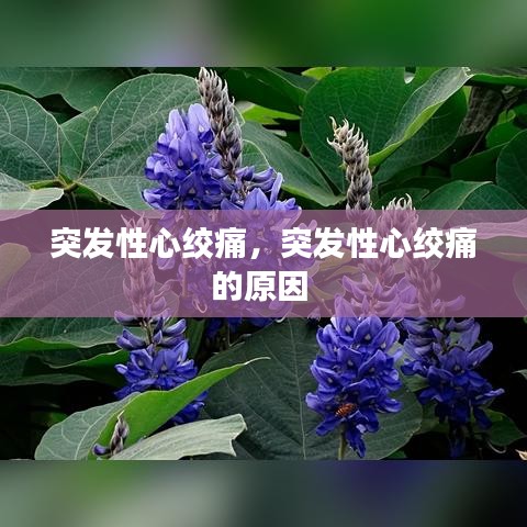 造價(jià)咨詢 第7頁(yè)