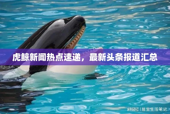 在線留言 第8頁