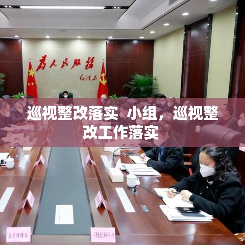 巡視整改落實  小組，巡視整改工作落實 